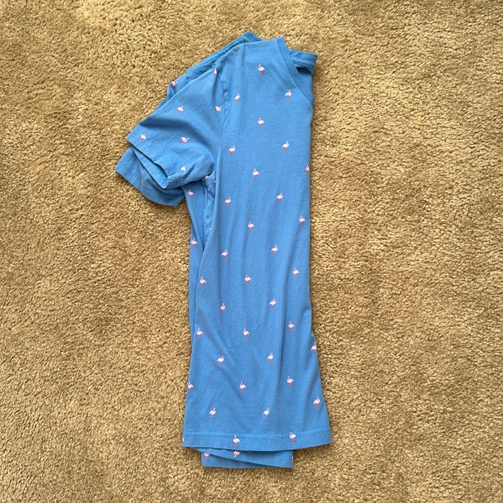 Men’s express v neck w flamingos